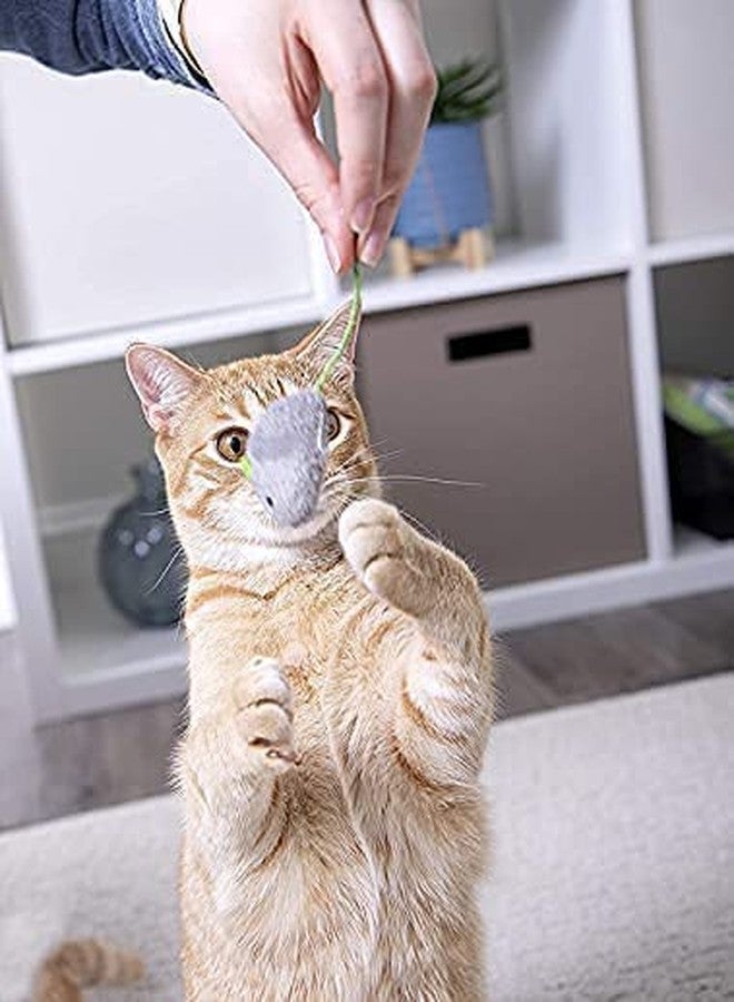 RoverPets Cat Mice Toy 6-Pack Plush -Filled Mice Toys for Indoor Cats - Realistic Design - Image 3